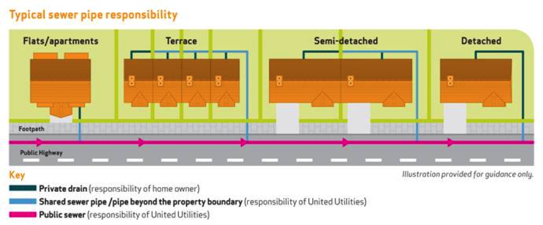 Sewers and drains explained